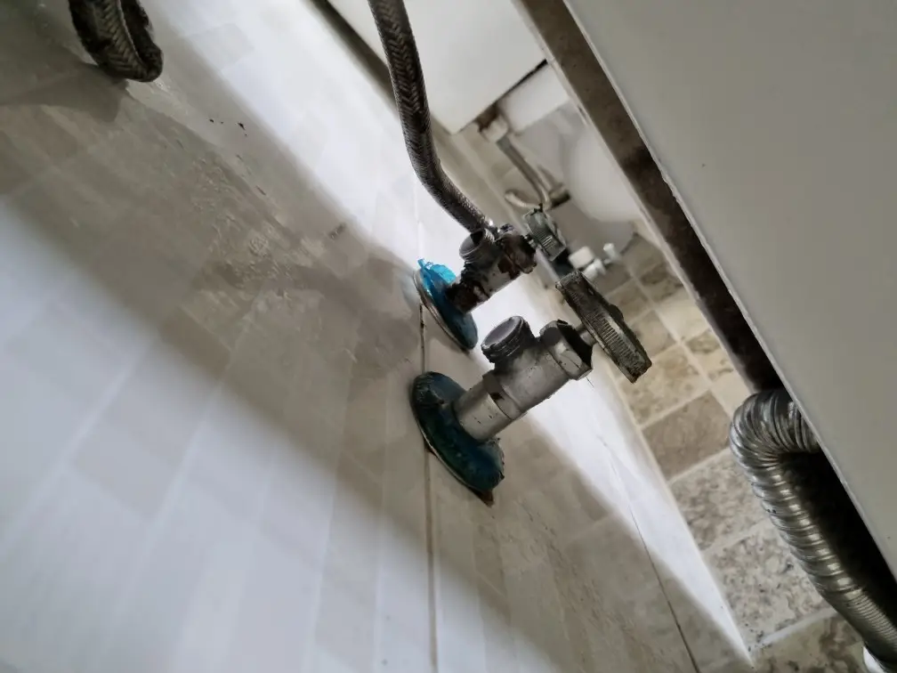 샤워 겸용 수전 3